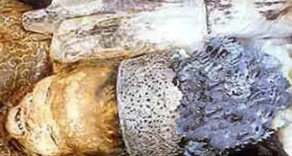 死不了的人未解之谜 盘点人类未解之谜七大神秘事件