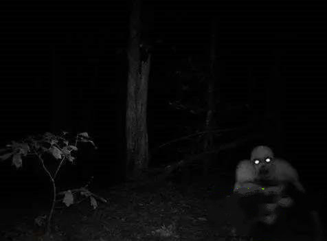 死不了的人未解之谜 盘点人类未解之谜七大神秘事件