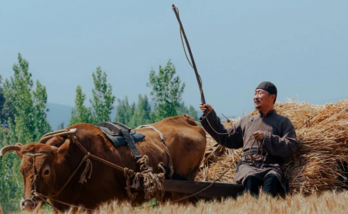 1733906186443805.png 1.png