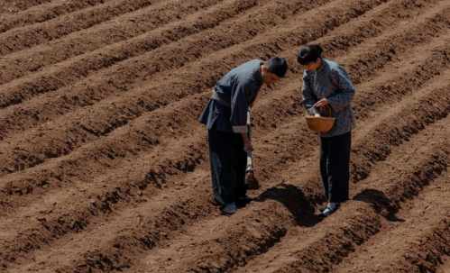 1733906199878904.png 3.png