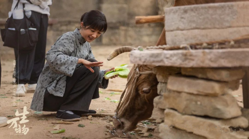 1733906224211941.png 7.png